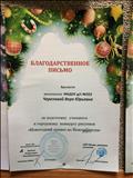 Благодарственное письмо за подготовку учащихся  к городскому конкурсу рисунков  "Новогодний привет из Новосибирска"